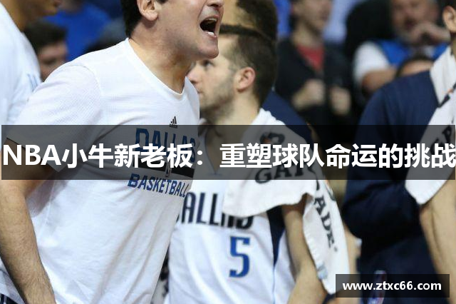 NBA小牛新老板：重塑球队命运的挑战